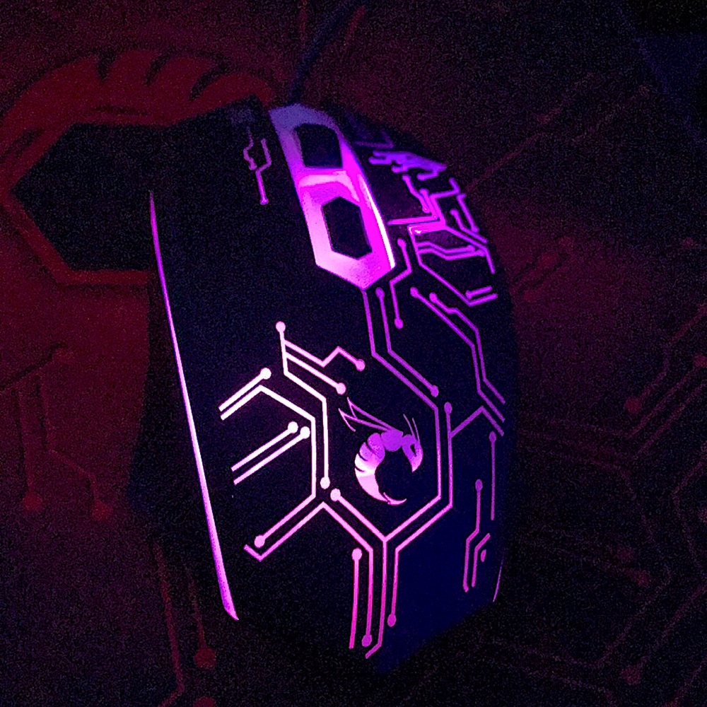 Hornet mouse